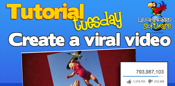 How to make a viral video