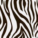 bg-zebra-2