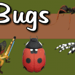 Bugs