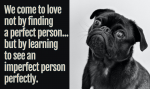 love-quote