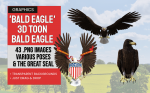 nBaldEagle